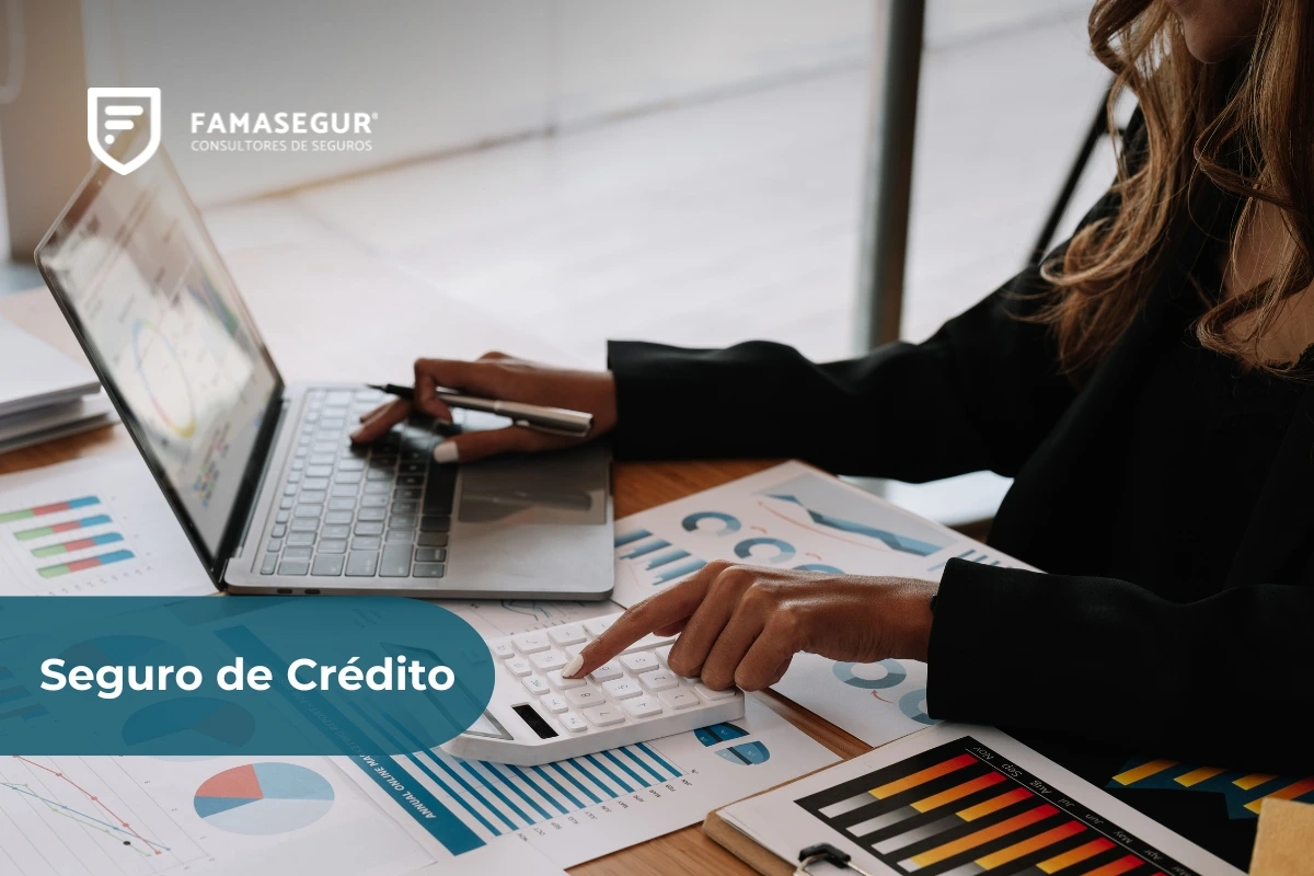 o que é seguro de crédito